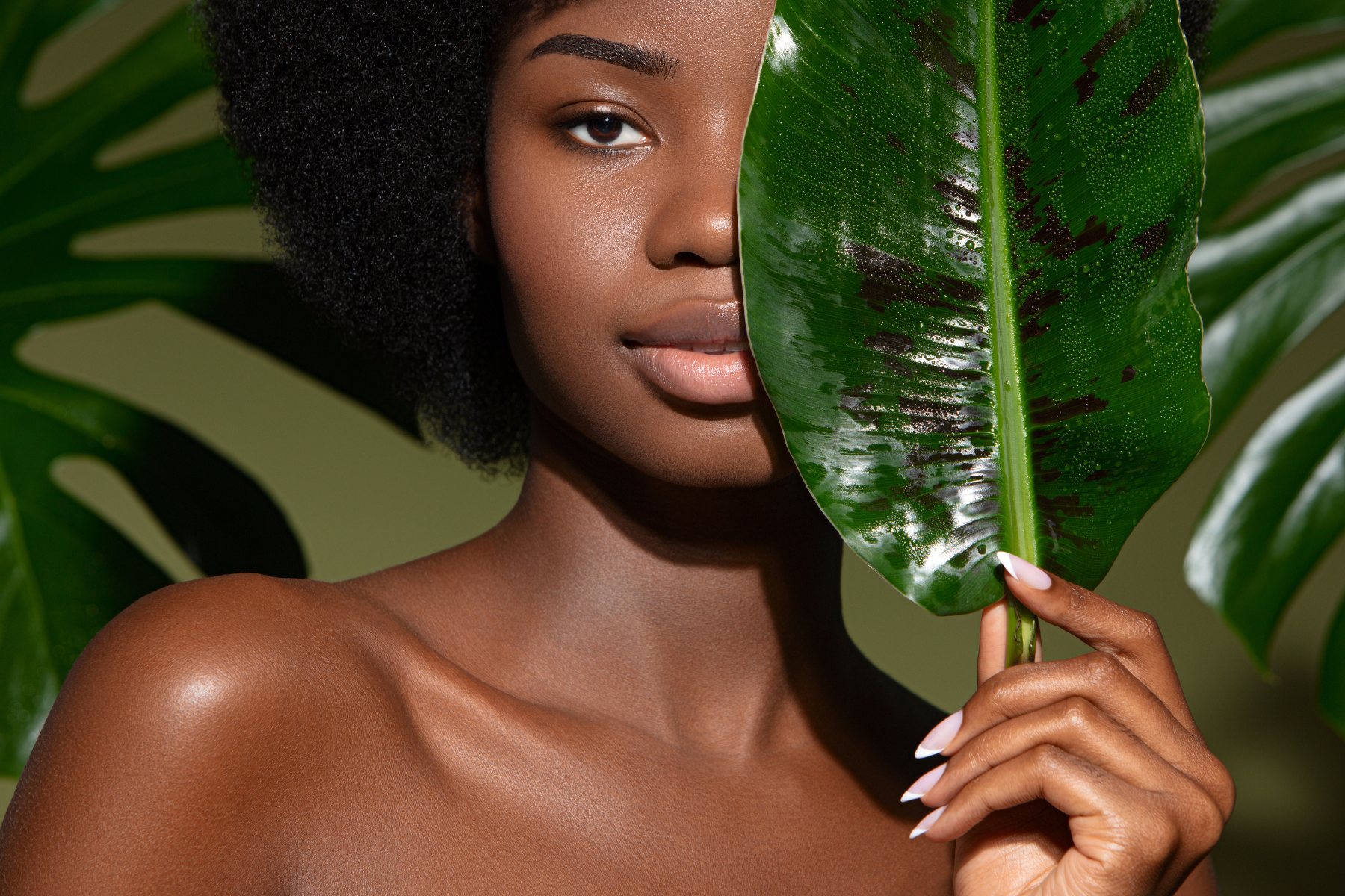 Coconut Bliss Collection