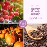 Comfy and Cozy Season 5 In 1 Essential Mist