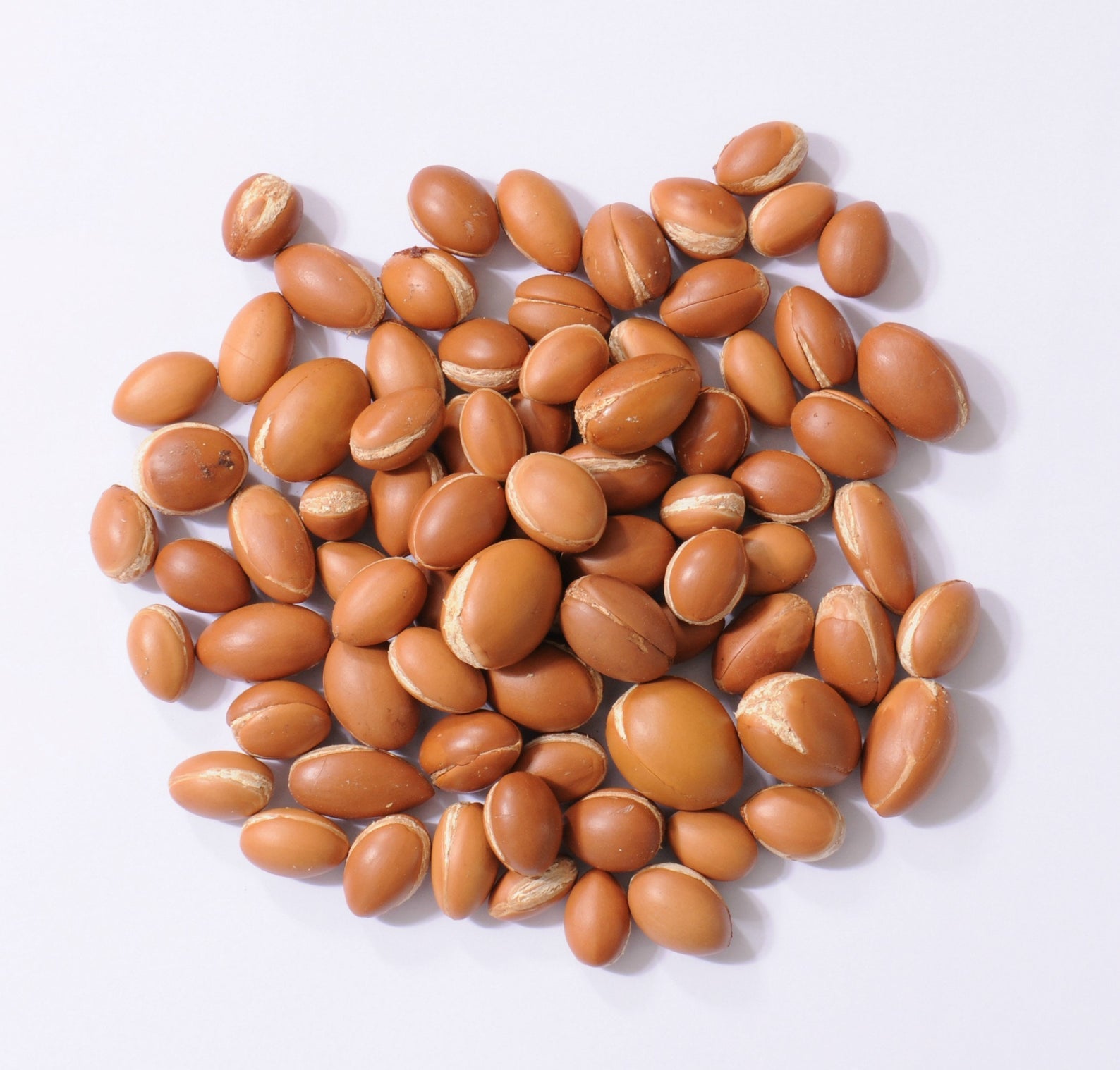 Argan Nut Oil