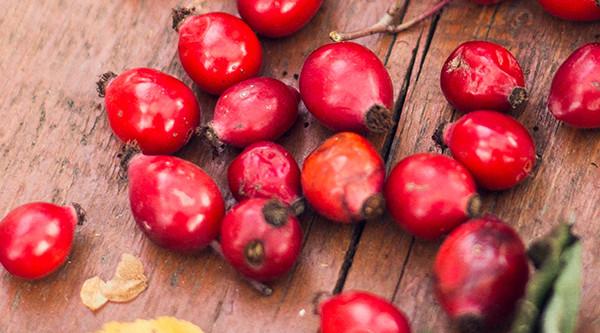 Rosehip Seed Oil