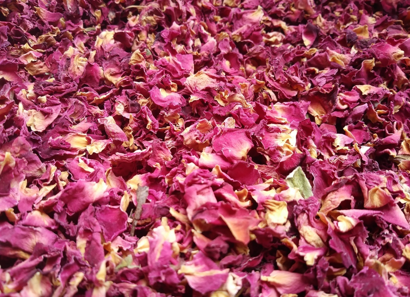 Dried Rose Petals