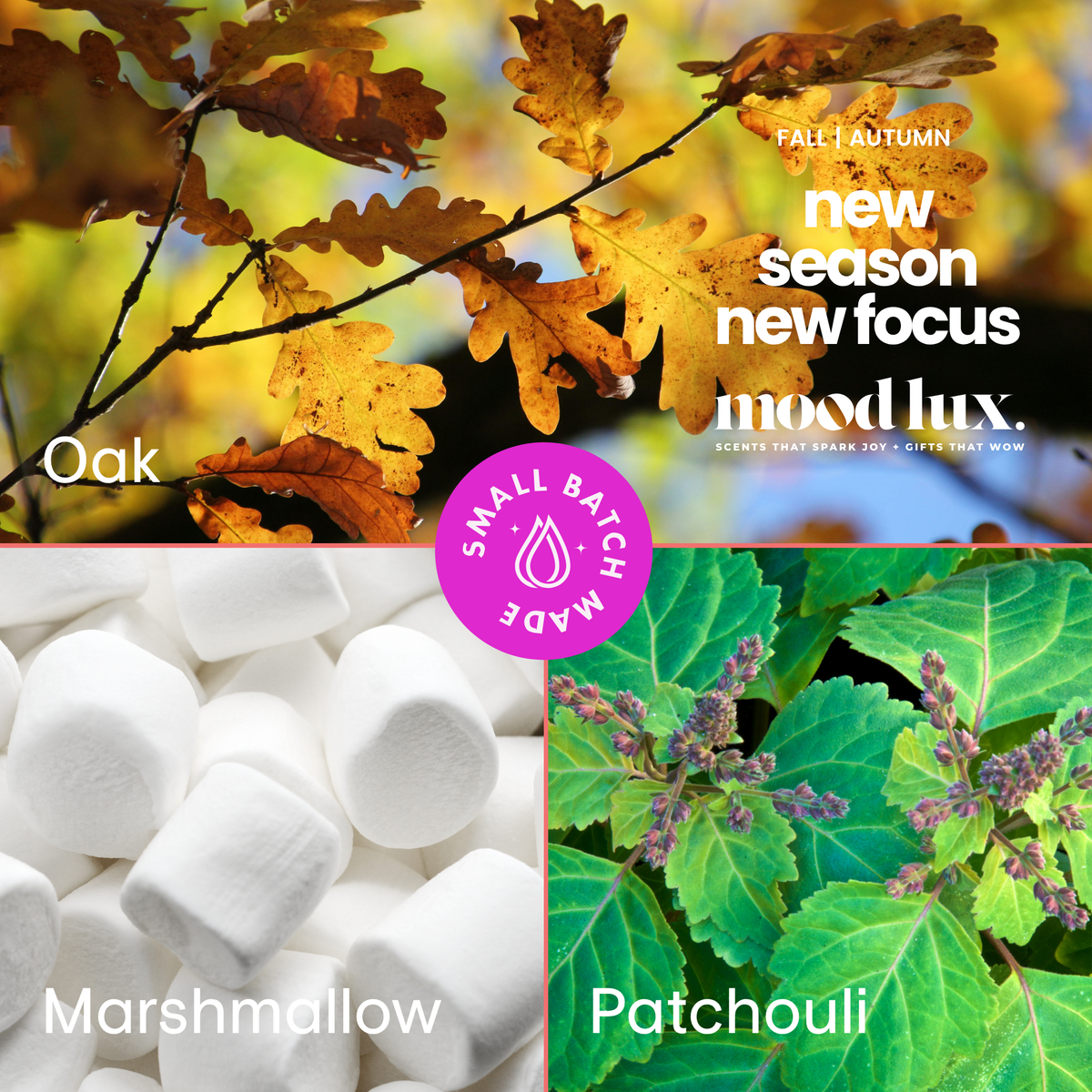 New Season New Focus 5 In 1 Essential Mist